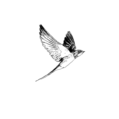 Bird flapping wings
